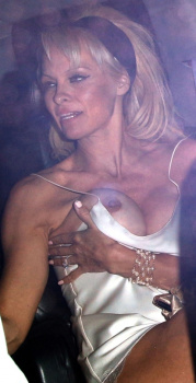 Albún completo Pamela Anderson imperdible