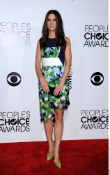 Sandra Bullock - 40th Annual People's Choice Awards at Nokia Theatre L.A. Live in Los Angeles, CA - January 8 2014 - 332xHQ 8y66qUQ1