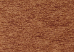 Datacraft Sozaijiten - 002 Paper Cloth Wood Textures (200хHQ) GR8MsF9R