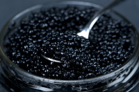 Черная, красная икра (black and red caviar) ITqKuPVz
