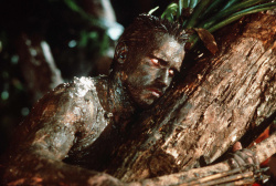 Arnold Schwarzenegger - Промо стиль и постеры к фильму "Predator (Хищник)", 1987 (18xHQ) NSpSf2t8