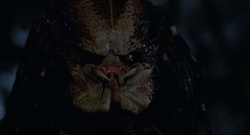 Arnold Schwarzenegger - Промо стиль и постеры к фильму "Predator (Хищник)", 1987 (18xHQ) UWG9natk